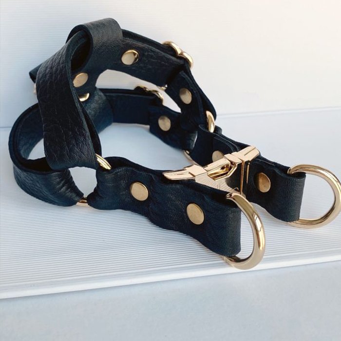 Diving harnesses
